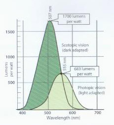 Luminous flux perceived by the human eye for a radiation of 1W at different wavelengths under day vision and night vision